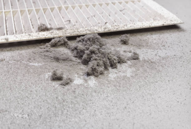 Best General Air Duct Cleaning  in Hialeah Gardens, FL