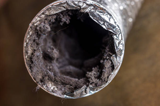 Best Duct Cleaning for Offices  in Hialeah Gardens, FL