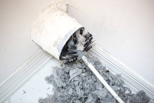 Best Affordable Duct Cleaning Services  in Hialeah Gardens, FL